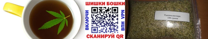mega   Костерёво  Canna-Cookies конопля 