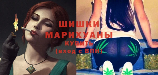 mdpv Инсар