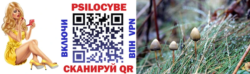 купить закладку Костерёво Псилоцибиновые грибы MAGIC MUSHROOMS